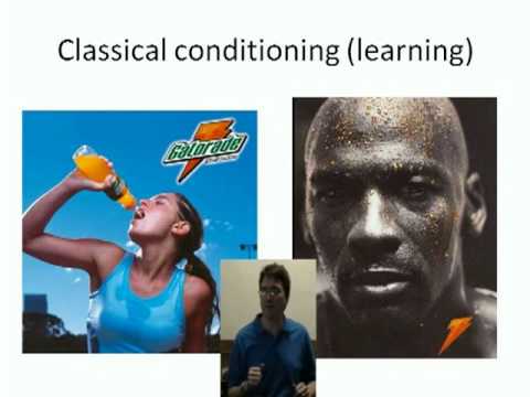 Classical vs Operant Conditioning and Negative reinforcement