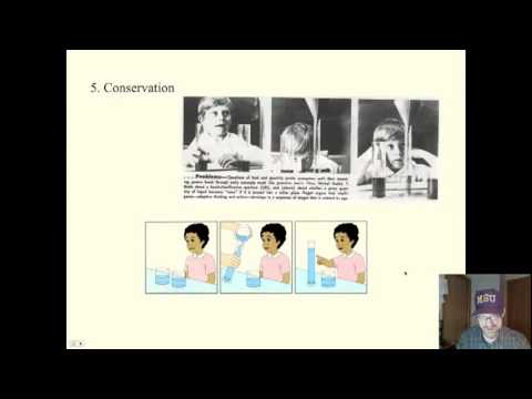 Saylor.org PSYCH303: Dr. Andrew Johnson&#039;s &quot;Piaget&#039;s Theory: Stages of Cognitive Development&quot;