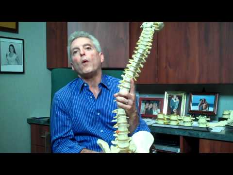 What Causes Low Back Pain and How to Prevent It