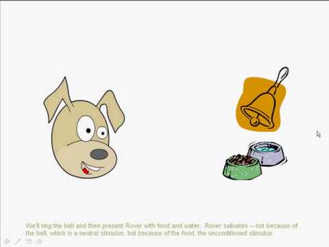 Classical Conditioning [cc]