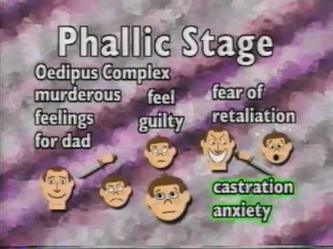 Freud&#039;s Psychosexual Stages