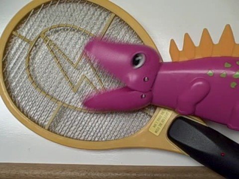 negative reinforcement of a dinosaur