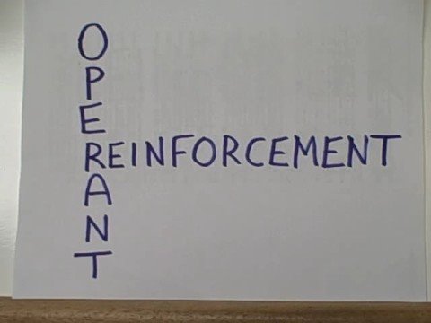 positive reinforcement in operant conditioning of a dinosaur