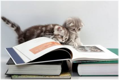 cats book