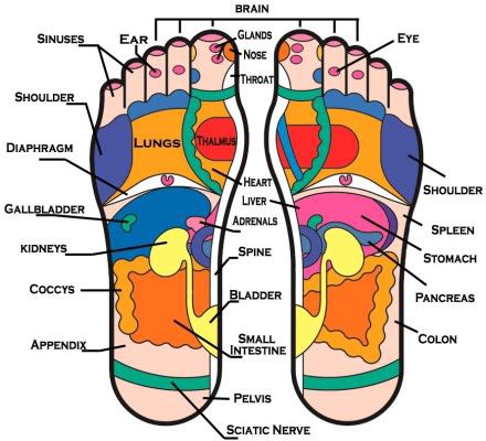 Reflexology Chart For Acne