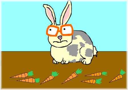rabbit wearing glasses