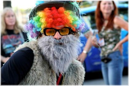 man wearing colored wig, glasses and fake beard.