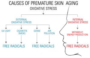 causes of premature aging
