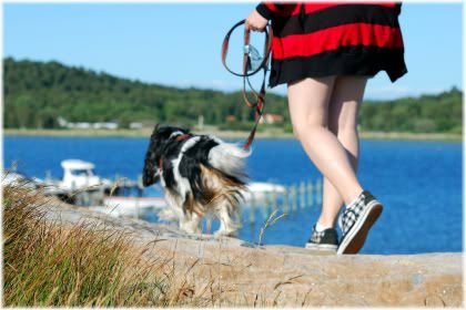 woman walking dog