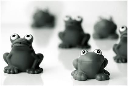 frogs looking up