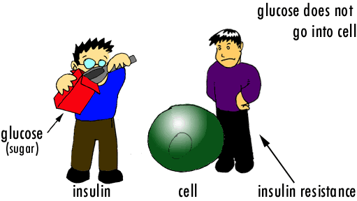 insulin resistance animation