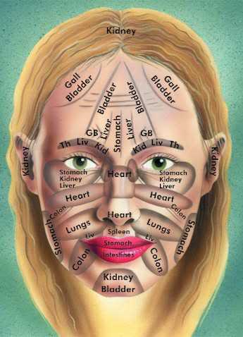 Face Reflexology Chart