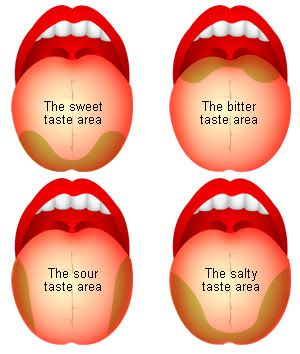 taste buds tongue