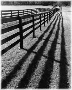 shadows from fence