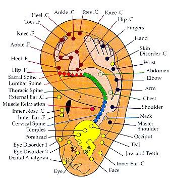 Reflexology Chart For Acne