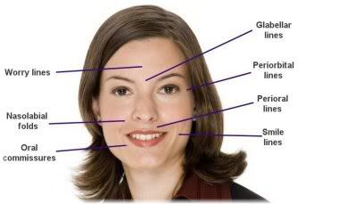 Facial Exercises Chart