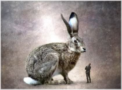 Giant rabbit small man