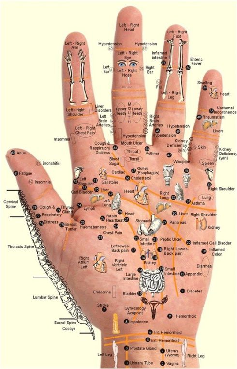 hand reflexology points