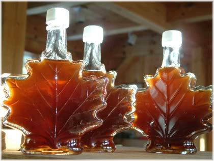 maple syrup